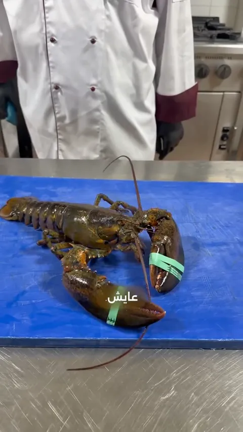 Our chefs preparing fresh live lobster in the kitchen.